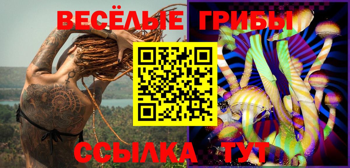 Псилоцибиновые грибы Magic Shrooms  Вход с VPN  Нефтекумск 